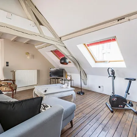 Appartement La Terrasse De Barbâtre Reims